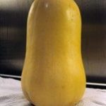 Butternut