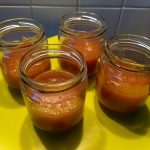 Apple plum pineapple compote2