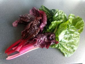 Swiss Chard 12