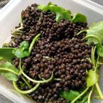 Salad with purslane, black lentils and smoked salmon 22