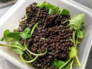 Salad with purslane, black lentils and smoked salmon 22