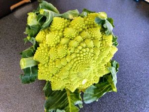 Romanesco cabbage2