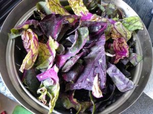 Brussels sprout top leaves gratin 12